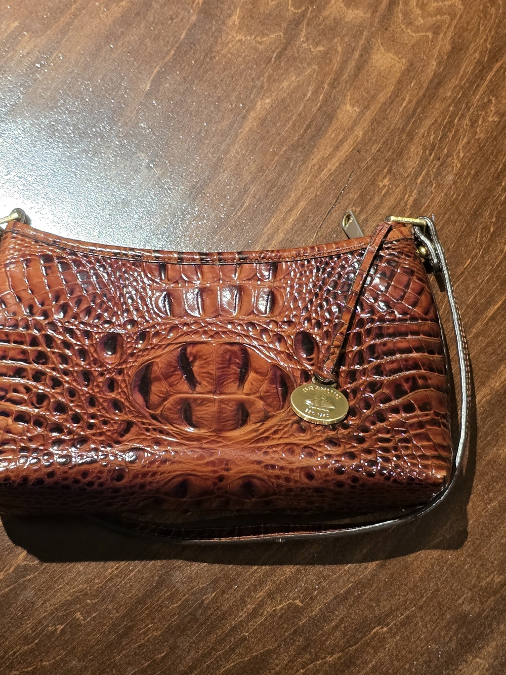 Brahmin Chestnut Croc-Embossed Leather Purse with Signature Gold Medallion - Picture 2 of 13